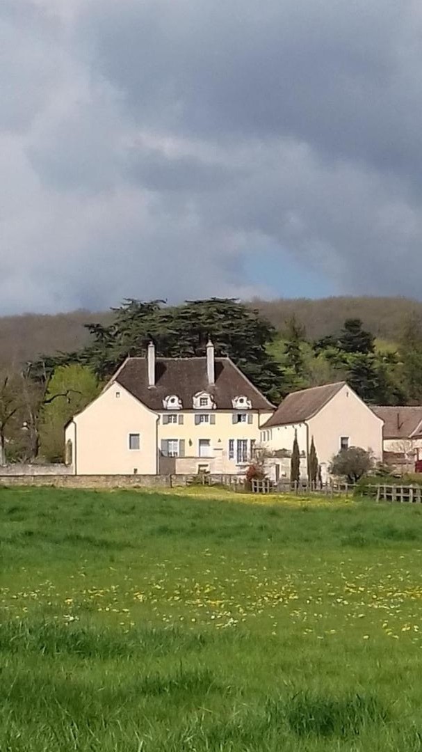 La terrasse c&ocirc;t&eacute; ouest sous le c&egrave;dre