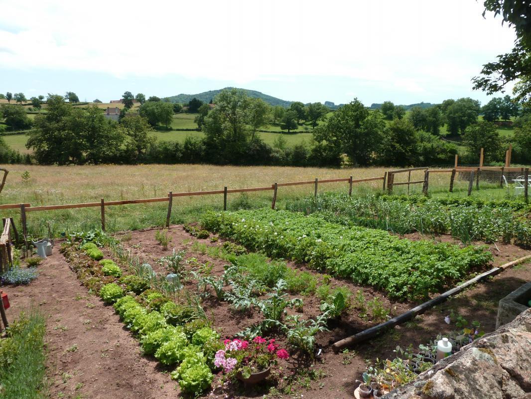 Une partie du grand potager, pour des repas "bio" !