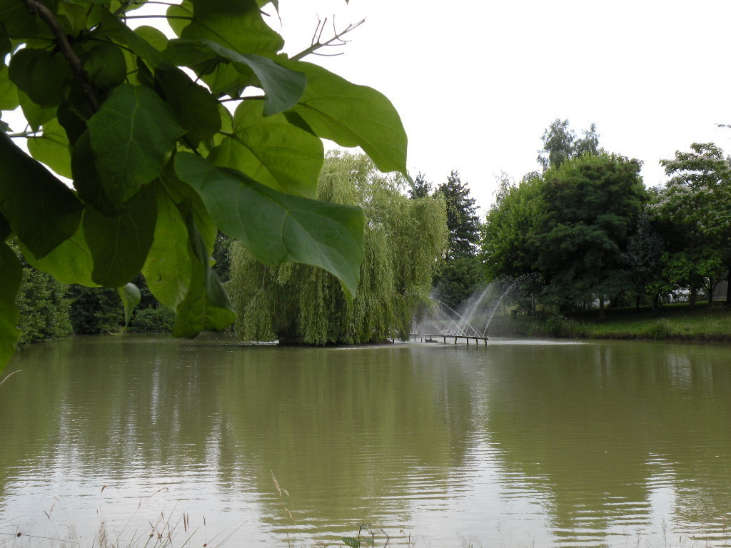Etang de La Chapelle Saint Sauveur