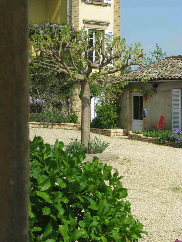 Ch&acirc;nes est un village vignerons, le seul entre le M&acirc;connais (Bourgogne du sud, vins blancs) et le Beaujolais (vins rouges)