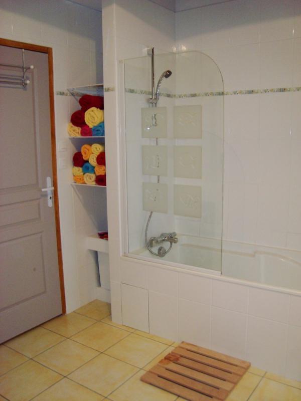 Salle de bain du RDC