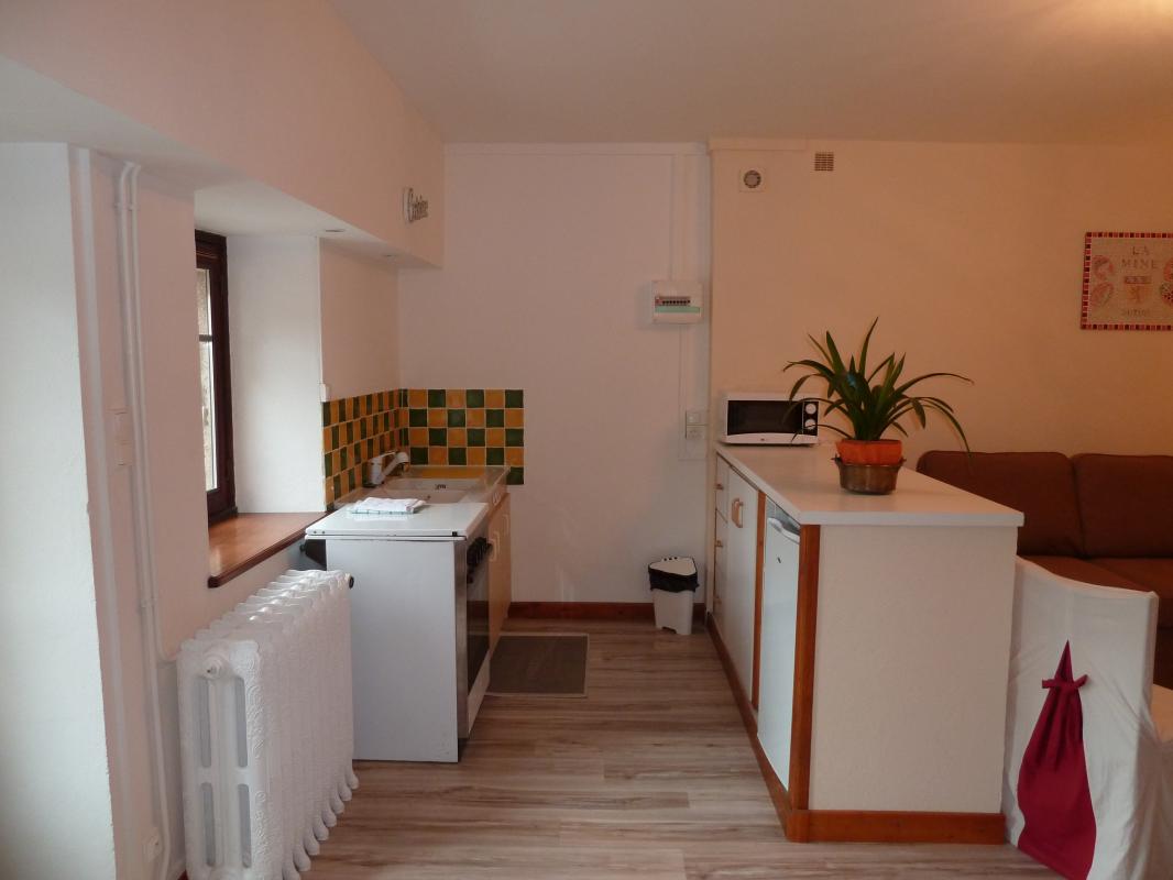 Coin cuisine avec frigo, micro-ondes, four et plaques de cuisson