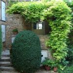 gite - le Cuvage de Davenay - BUXY - Sa&ocirc;ne-et-Loire