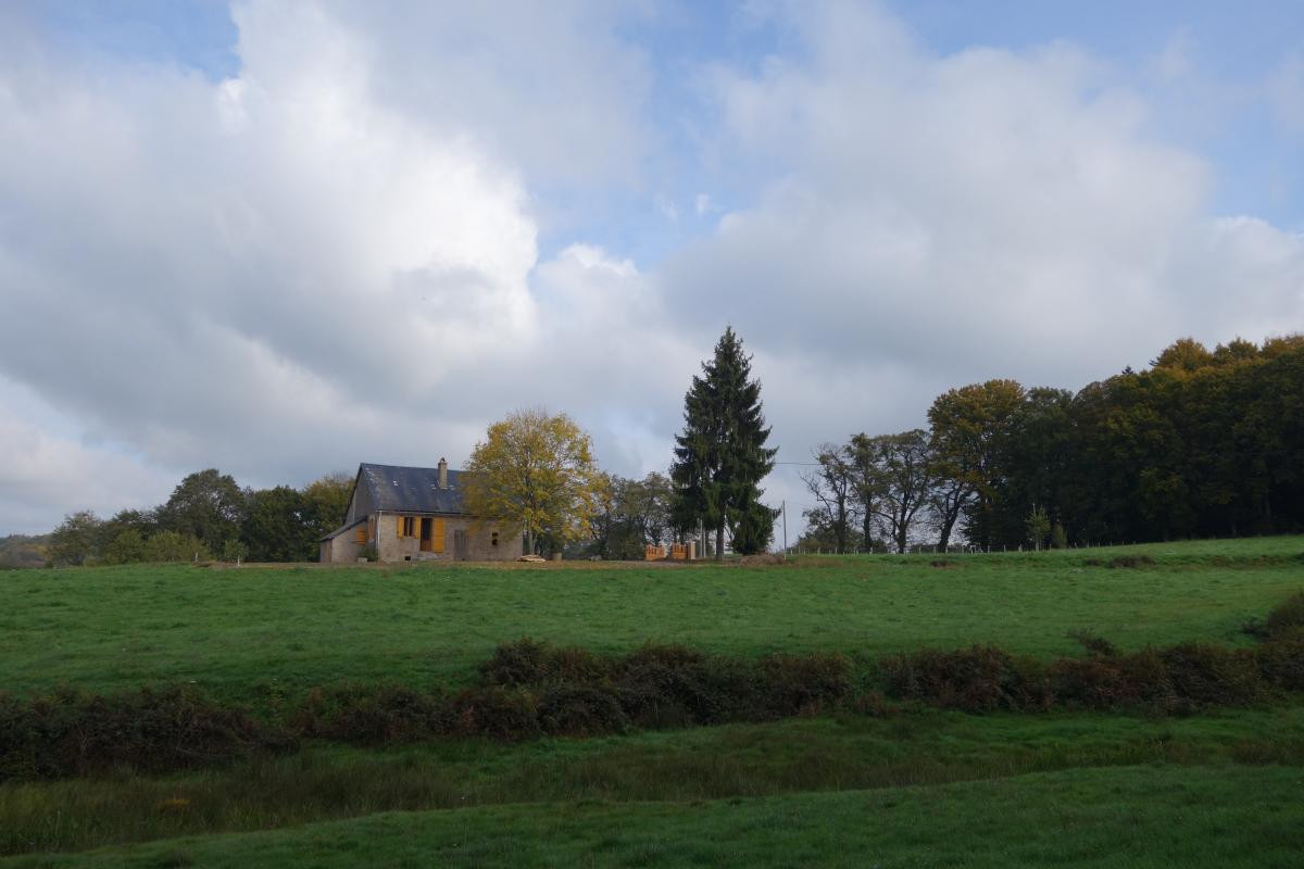 photo 0