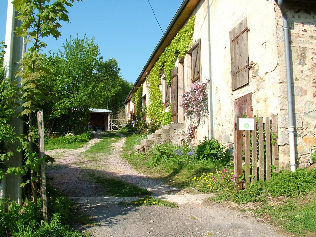 photo 0